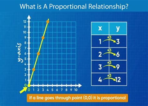 Graphing Proportional Relationships Day 1 YouTube