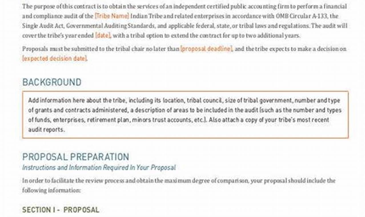 Proposal for Audit Services