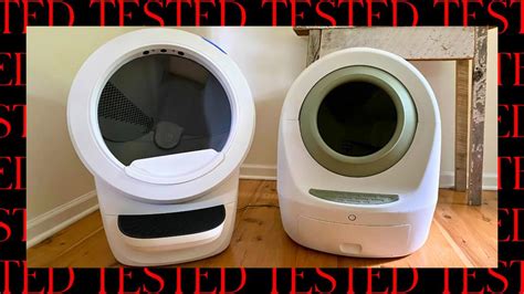 Pros And Cons Of Automatic Litter Boxes