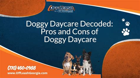pros and cons of doggy daycare
