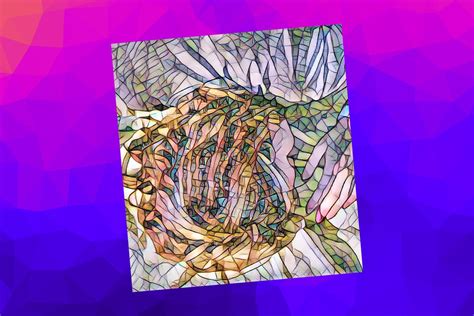 Pros And Cons Of Jersey Sheets