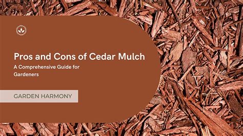 Pros And Cons Of Using Cedar Mulch