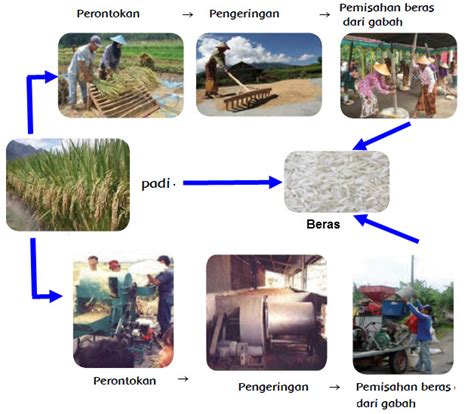 Proses Penggilingan Beras 25 Kilo