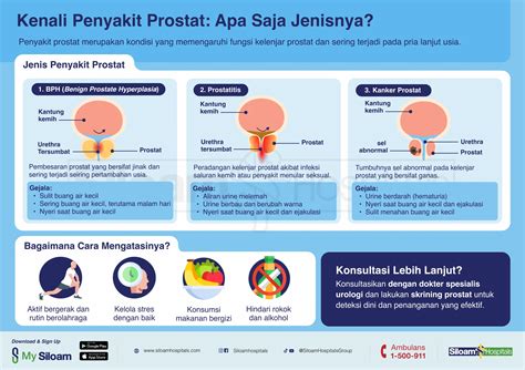 Bawang Lanang Mencegah Kanker Prostat