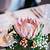 protea flower wedding decor