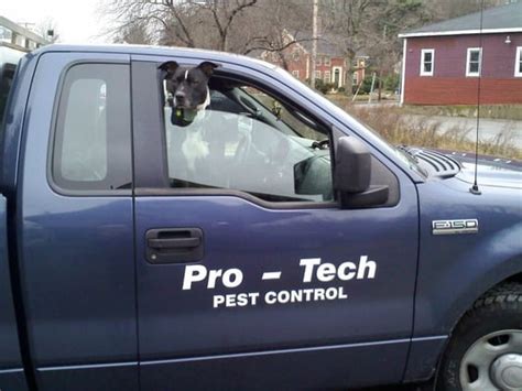 protech pest control worcester ma