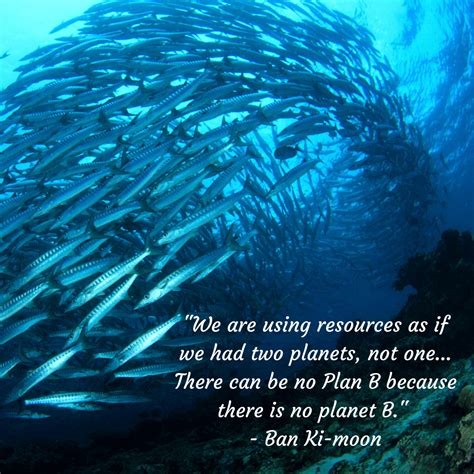 Protect Ocean Quotes