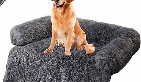 Protection Canape Pour Chien Knuffelwuff Berry Canapé Et Tapis