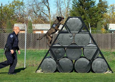 protective k9 training courses