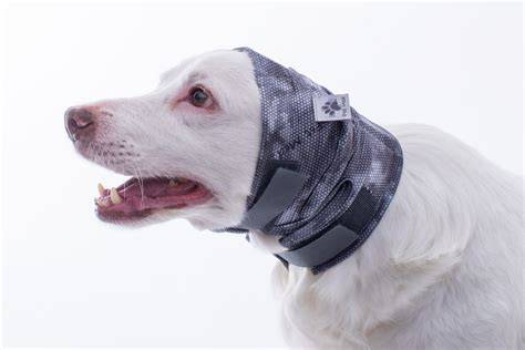 ⊛ 12 Mejores Protectores De Perros Para Asientos Traseros De Coches
