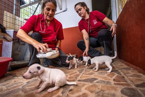 Protecting Yourself From Danger - Finding A Protector Near Me