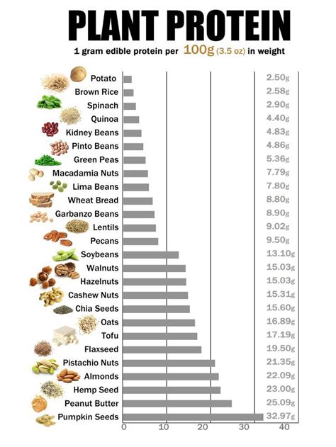 How Does Your PlantBased Protein Stackup? GroundBased