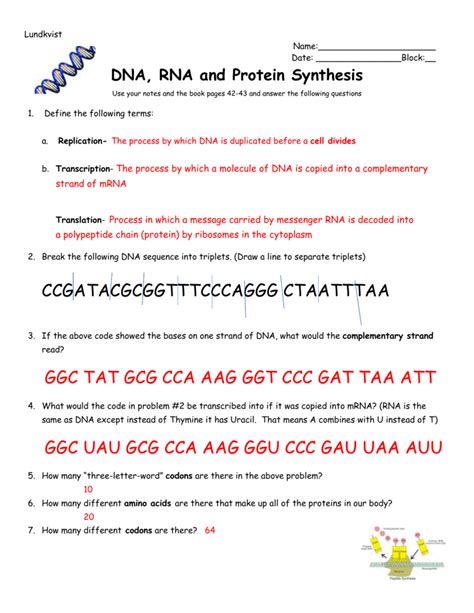 Protein Synthesis And Codon Practice Answer Key: Understanding The Basics