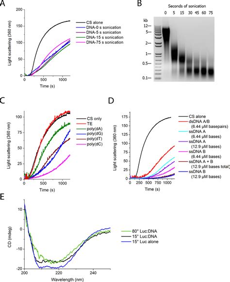 Protein Aggregation Buffer