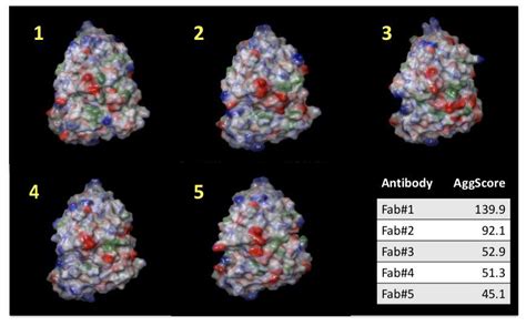 Protein Aggregation Score