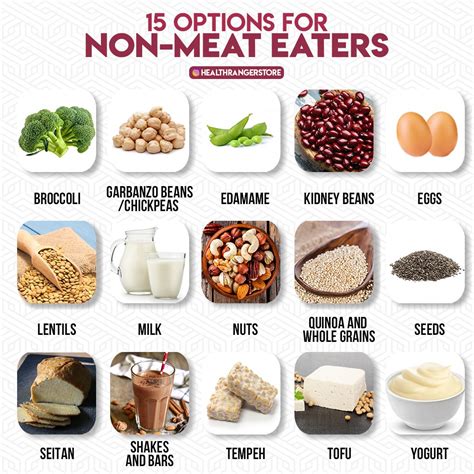 protein alternatives for vegetarians