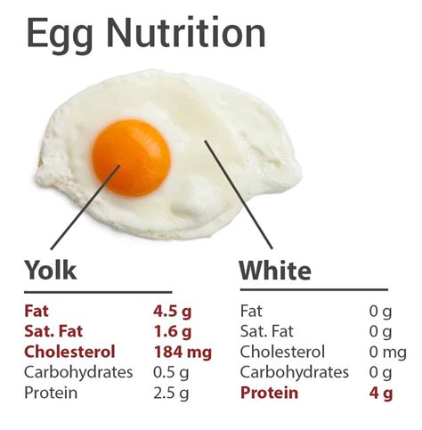 Protein Average Egg