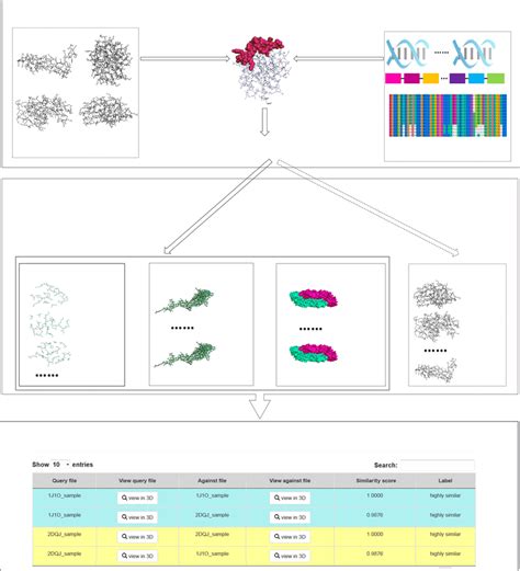 Protein Blast Pdb