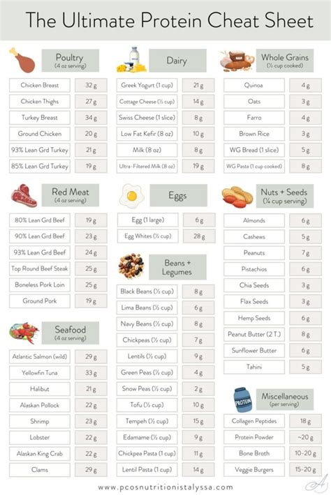 Protein Cheat Sheet Pdf