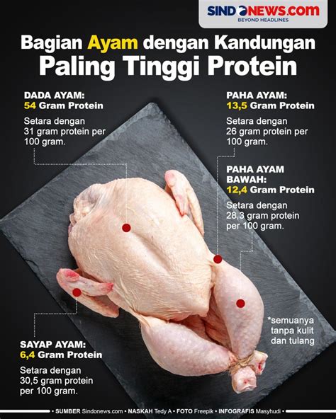 Protein Daging Ayam