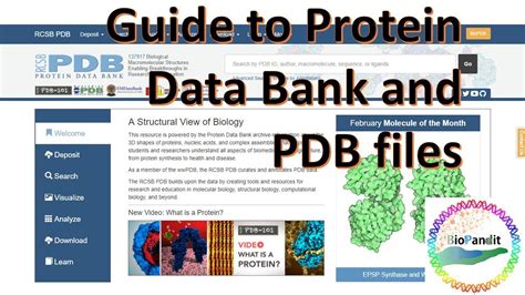 Protein Data Bank File