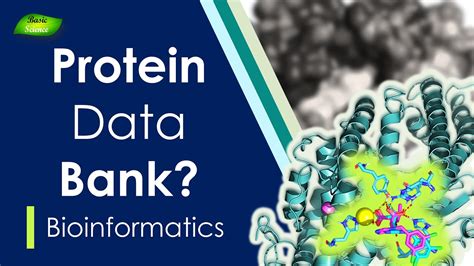 Protein Data Bank Python
