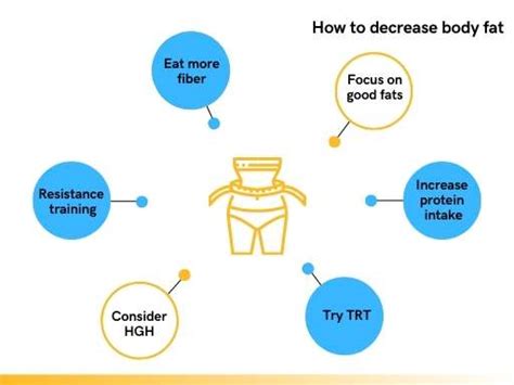 Protein Decrease Body Fat