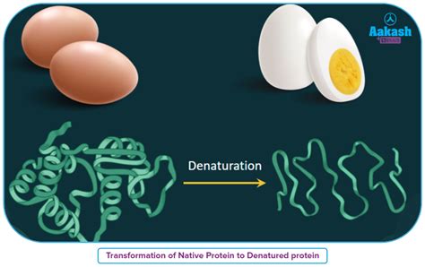 Protein Denaturation Activity