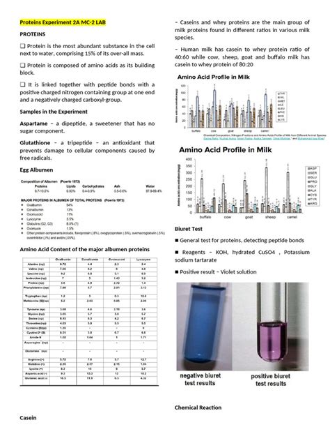 Protein Denaturation Experiment Pdf