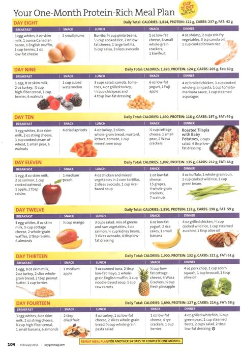 Protein Diet Menu