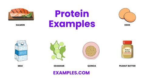 Protein Examples And Uses