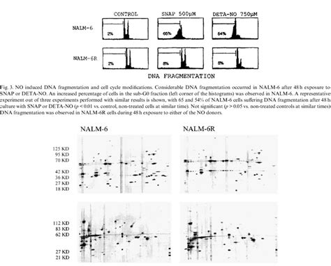 Protein Expression Constitutive
