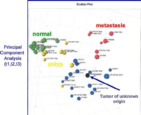 Protein Expression Database
