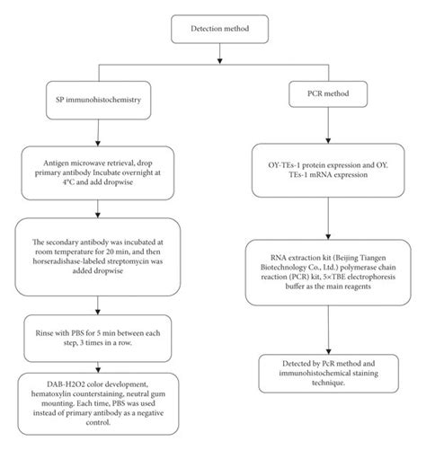 Protein Expression Detection