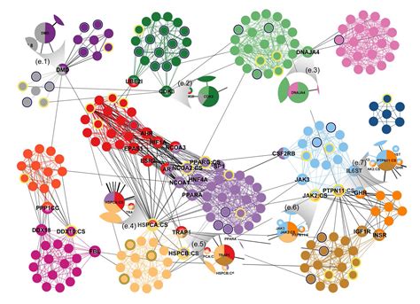 Protein Expression Network