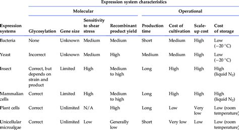 Protein Expression Systems Comparison