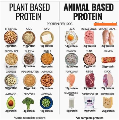 Protein Feedstuff Examples