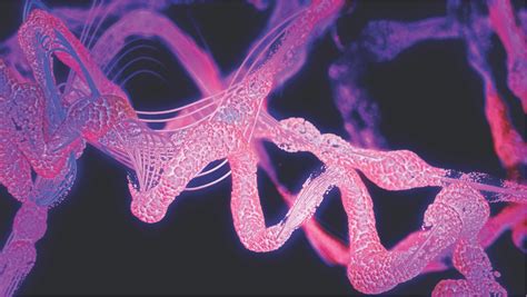 Protein Folding Problem Solved