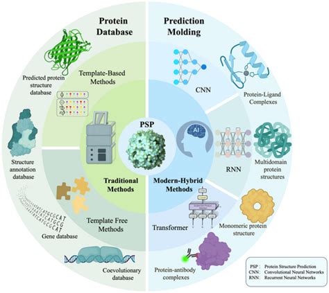 Protein Function Prediction Deep Learning