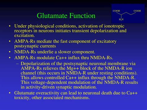 Protein Glutamate Function