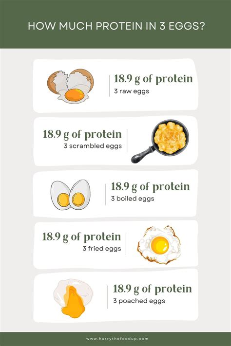 Protein In Three Eggs