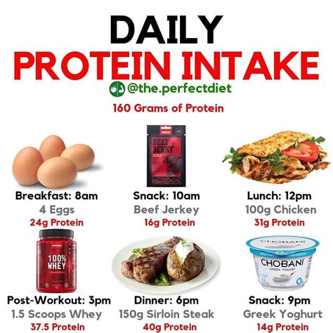 Protein Intake for Weight Loss