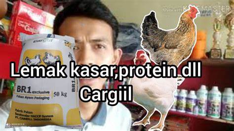 protein kasar adalah