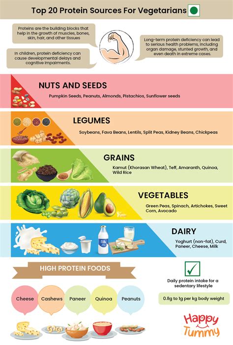 Protein Needs For Vegetarians
