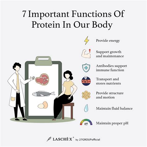 Protein Needs Function