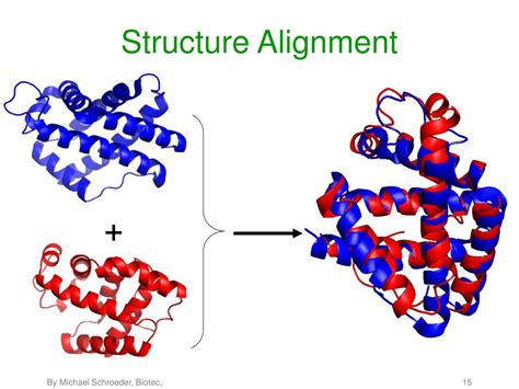 Protein Structure Alignment