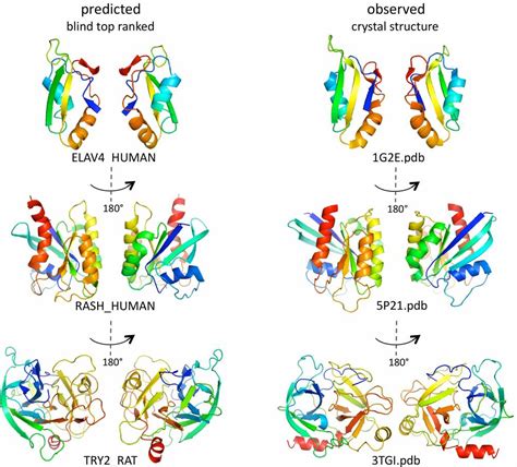 Protein Structure Bioinformatics