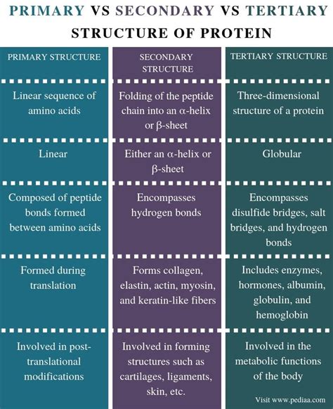 Protein Structure Differences