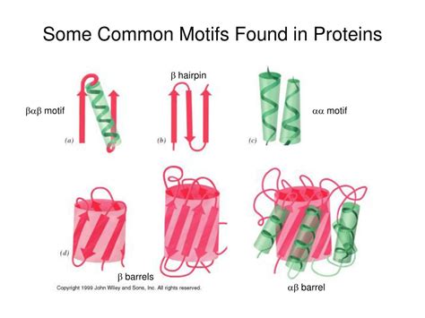 Protein Structure Motifs