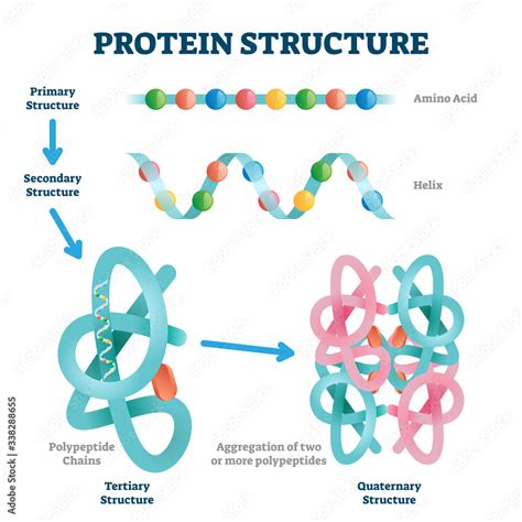 Protein Structure Vector
